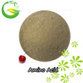 Liquid Amino Acid Organic Acid Extract From Plant